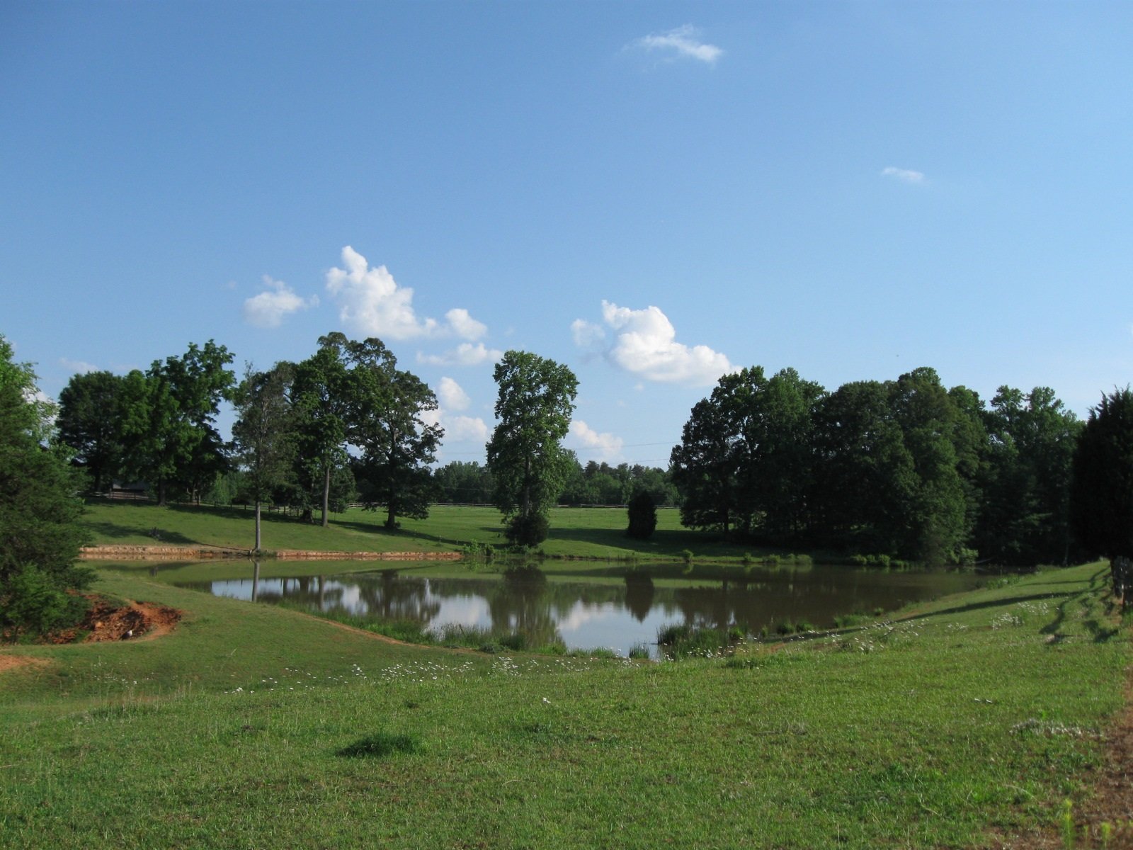 Green Acres Horse Farm Stokesdale, NC About Us